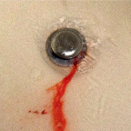 Marion's blood