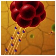 STEAM_Postersq